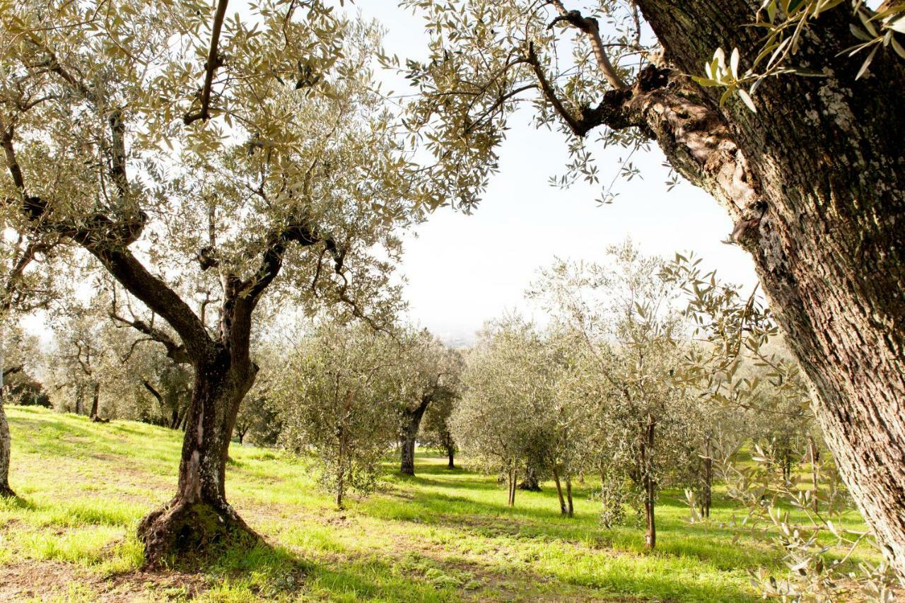 Agriturismo Podere Rondinaio Лампореккьо Экстерьер фото