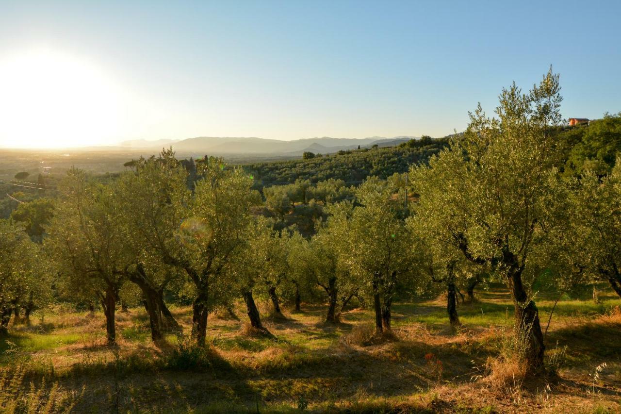 Agriturismo Podere Rondinaio Лампореккьо Экстерьер фото